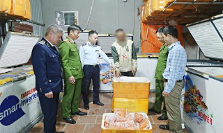 Bắc Ninh: Tiêu hủy gần 700 kg thực phẩm không rõ nguồn gốc, xuất xứ